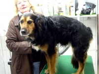 2010_002_01patzie