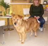 2010_003_001