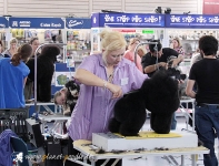 ggm09_209