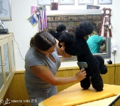 0010_008_workshop_006