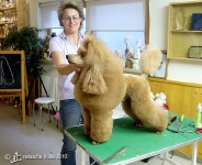 0010_008_workshop_020