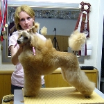 08_005_quilly_01