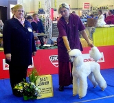 07_09_rosette_tulln_002_500