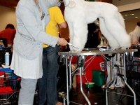08_008_innsbruck_01