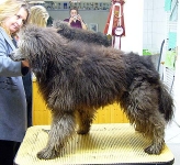 08_004_standard_teddy_set1_001