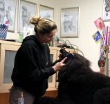 grooming_work_009_020