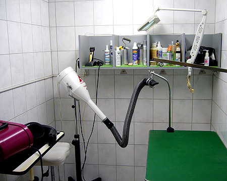 009_011_salon_002 009_011_salon_002