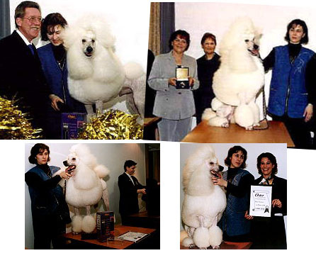 groom_2000 groom_2000