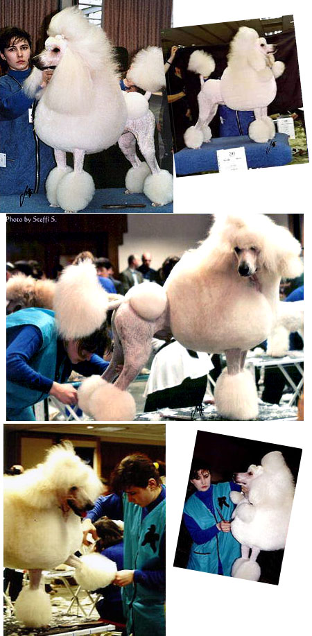 groom_2000a groom_2000a