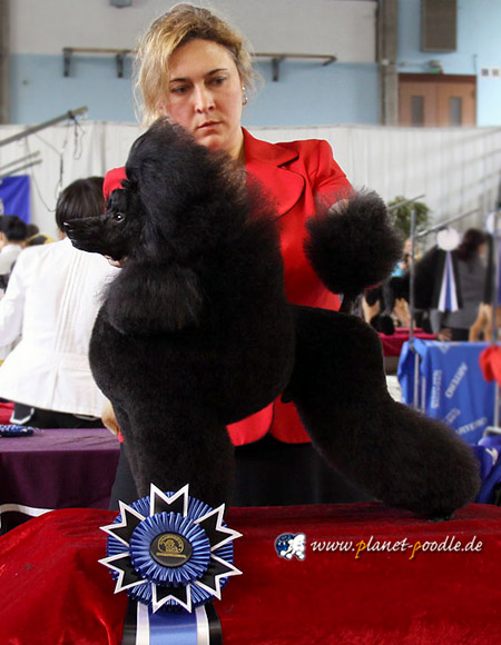milan_bantik_006_450
